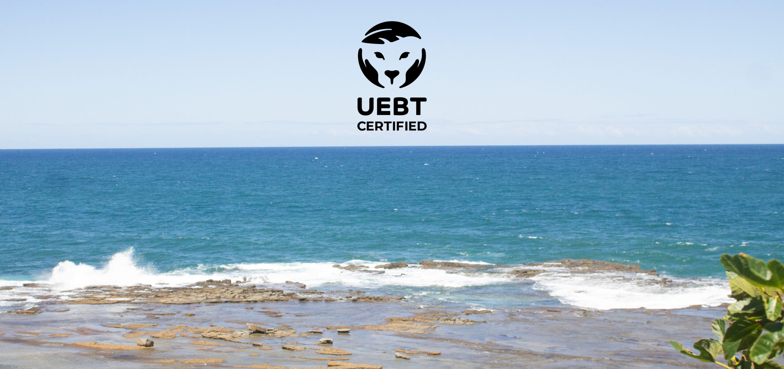 uebt-cover-